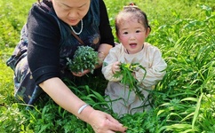 男同versios视频china